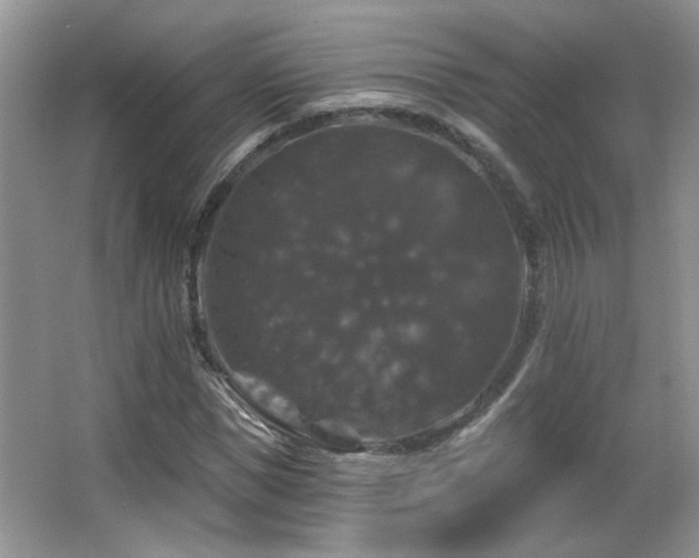 X0000066010921200603031219