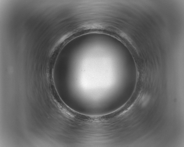 X0000066010922200603031219