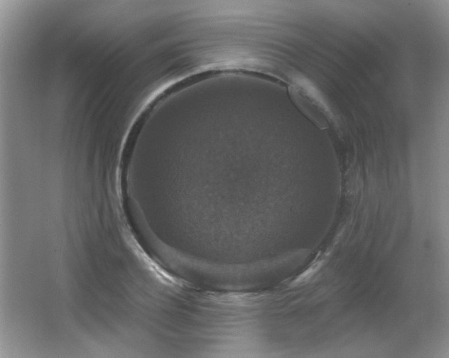 X0000066010932200603031219