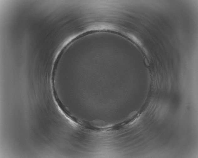 X0000066010943200603031219
