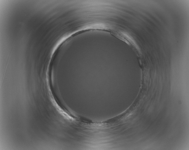 X0000066010944200603031219