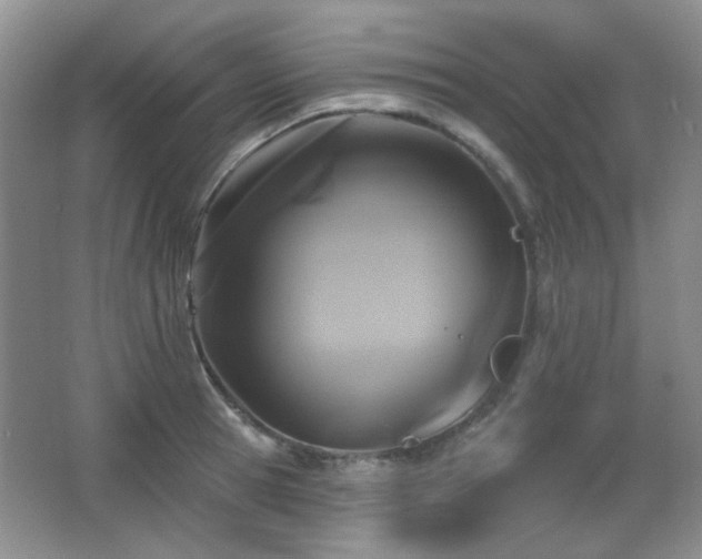 X0000066010945200603031219