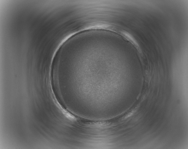 X0000066010948200603031219