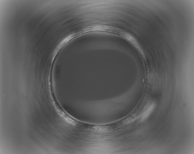 X0000066010954200603031219