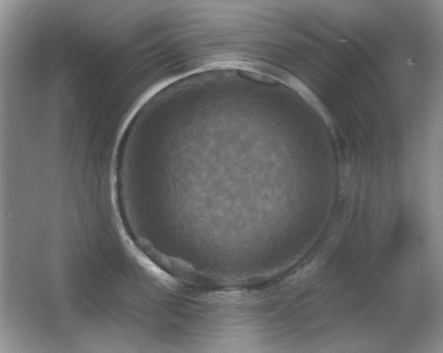 X0000066010955200603031219
