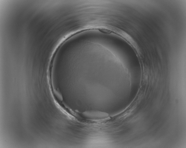 X0000066010958200603031220