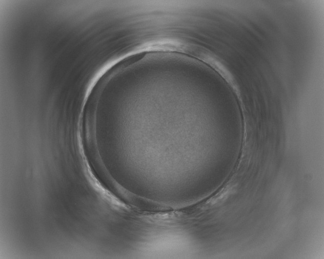X0000066010960200603031220