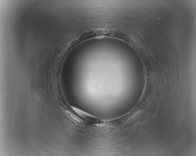 X0000066010961200603031219