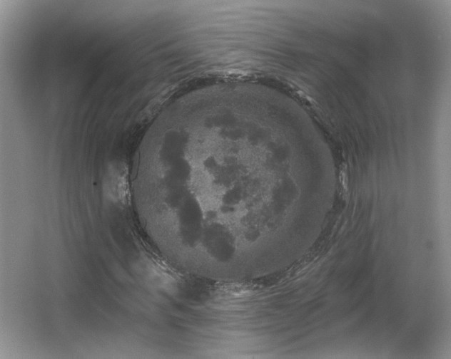 X0000066010963200603031219