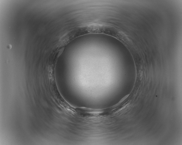 X0000066010964200603031219