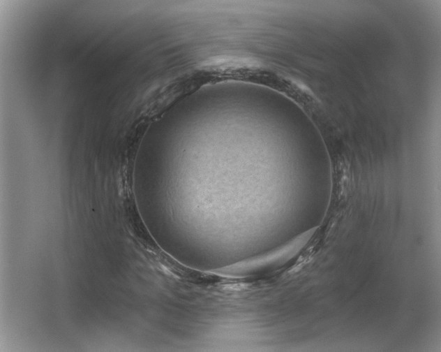 X0000066010965200603031219