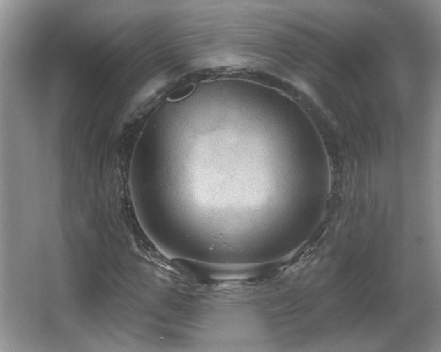 X0000066010967200603031219