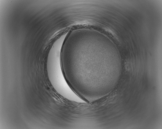 X0000066010968200603031219