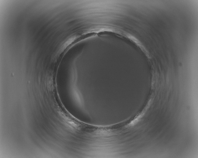 X0000066010977200603031218