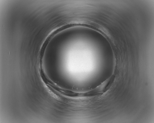 X0000066010984200603031218