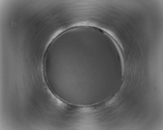 X0000066010998200603031218