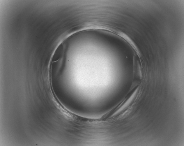 X0000066011004200603031218
