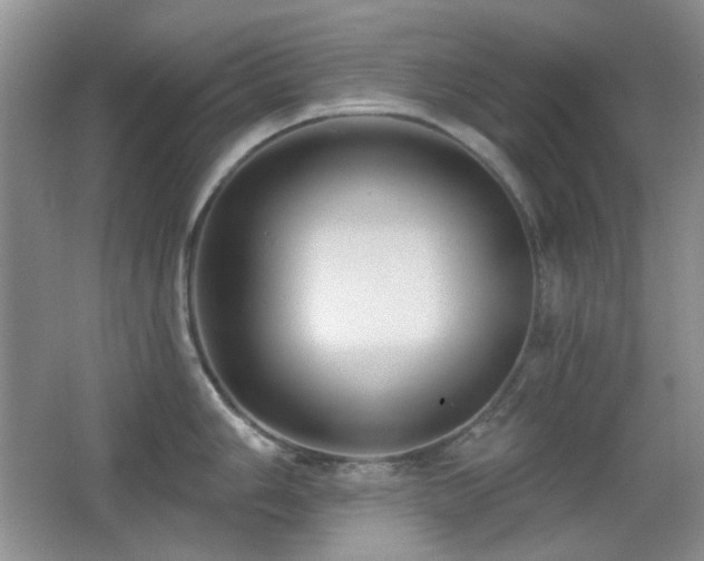 X0000066011006200603031218