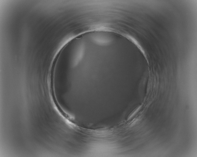 X0000066011007200603031218