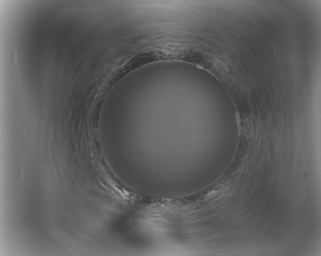 X0000066011009200603031217