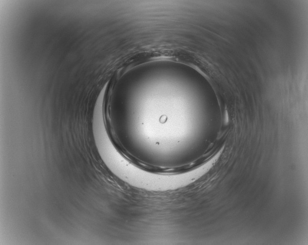 X0000066011010200603031217