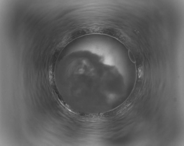 X0000066011011200603031217