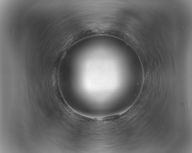 X0000066011012200603031217
