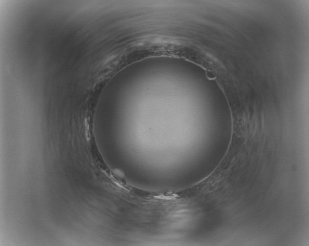 X0000066011013200603031217