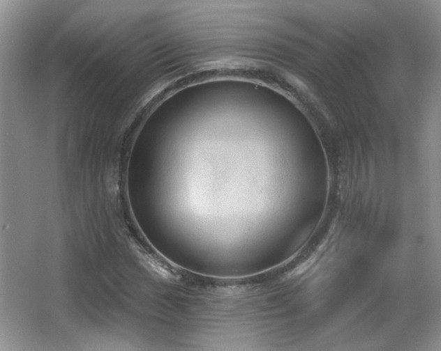 X0000066011017200603031217