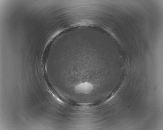 X0000066011018200603031217