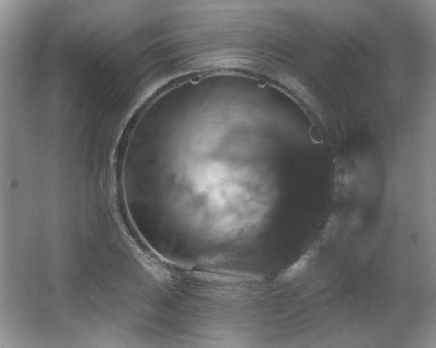 X0000066011031200603031218