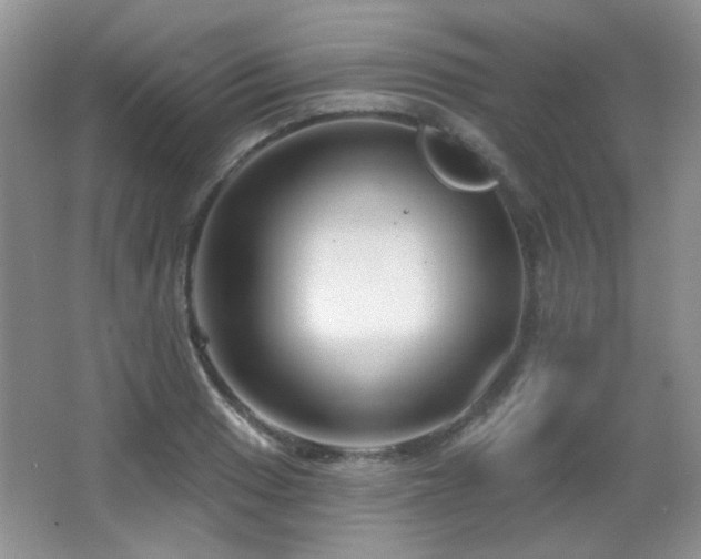 X0000066011033200603031218