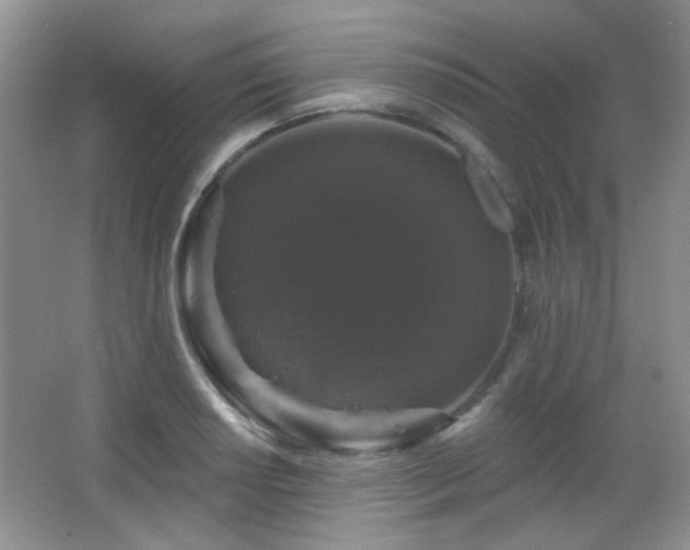 X0000066011034200603031218