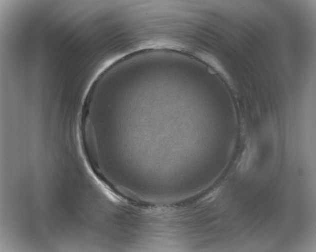 X0000066011040200603031218