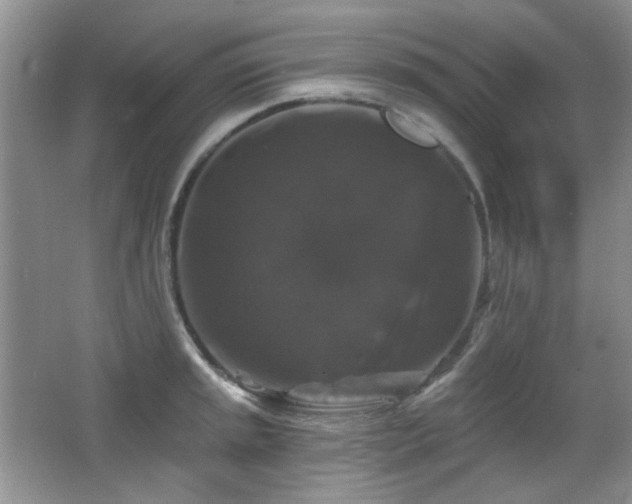 X0000066011045200603031218
