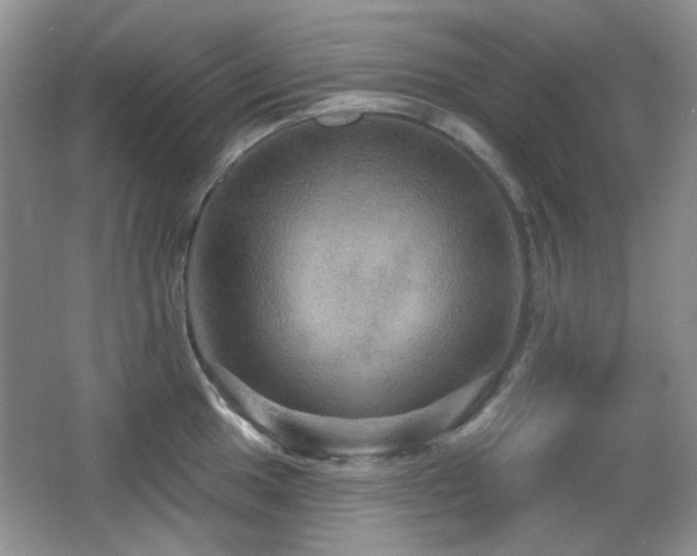 X0000066011049200603031218