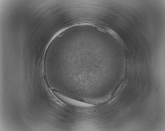 X0000066011052200603031218