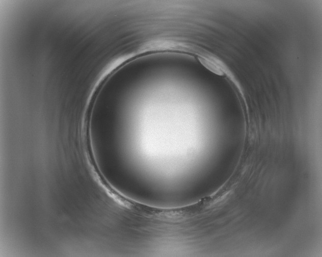 X0000066011053200603031218