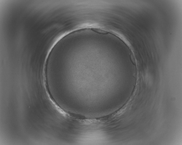 X0000066011056200603031218