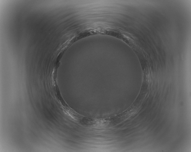 X0000066011060200603031217