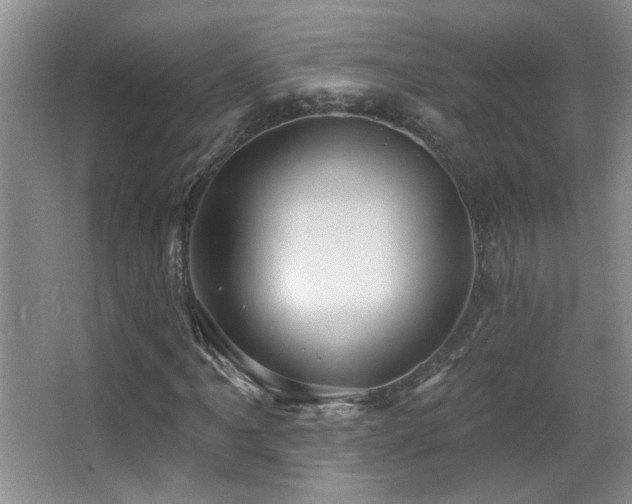 X0000066011061200603031217
