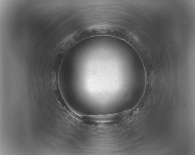 X0000066011062200603031217