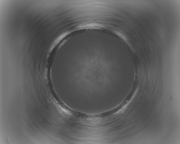 X0000066011066200603031217