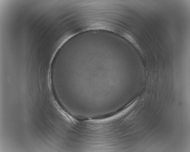 X0000066011076200603031217
