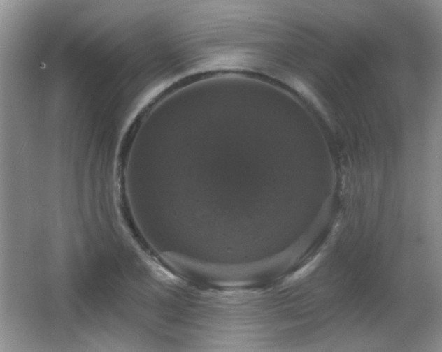 X0000066011077200603031217