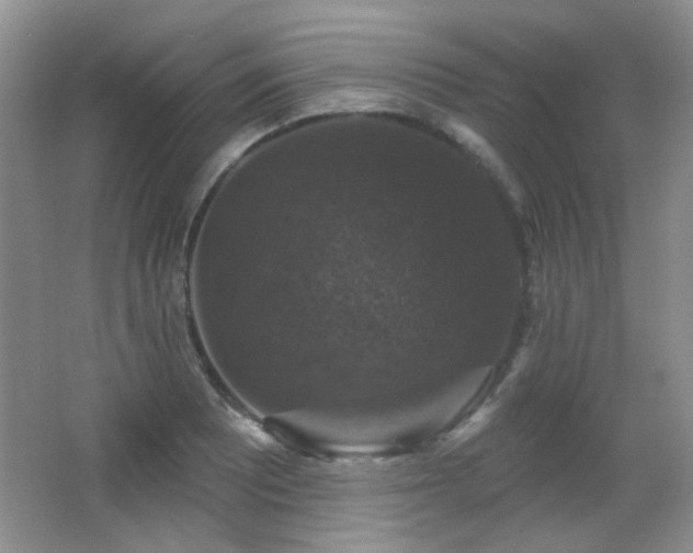 X0000066011081200603031217