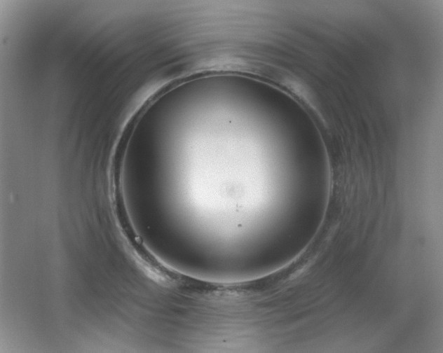 X0000066011082200603031217
