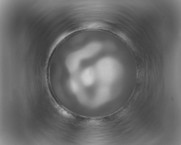 X0000066011086200603031217