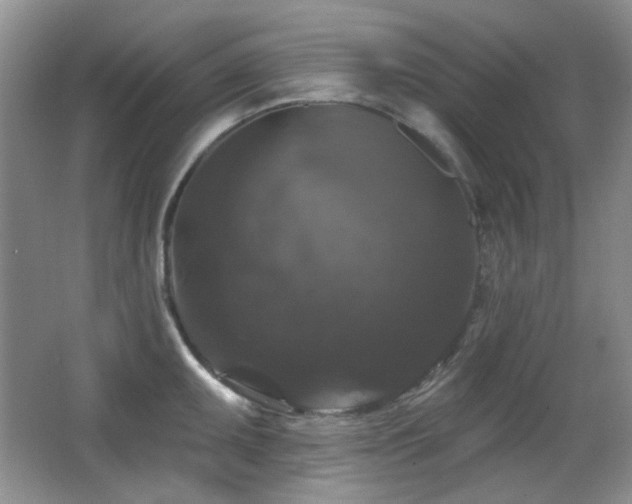 X0000066011095200603031216