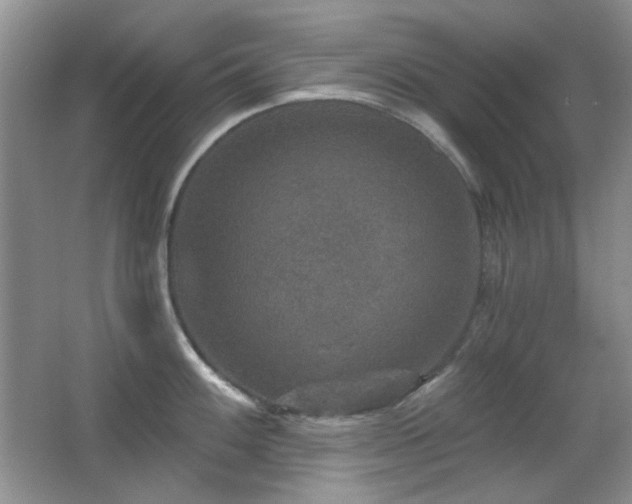 X0000066011100200603031216